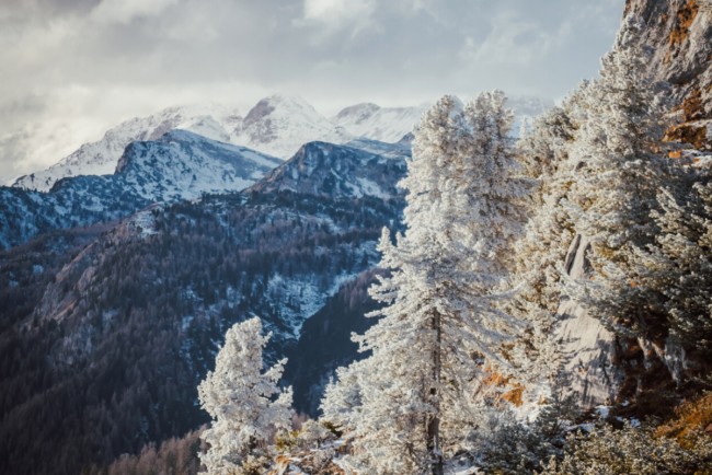 Verschneite Berglandschaft